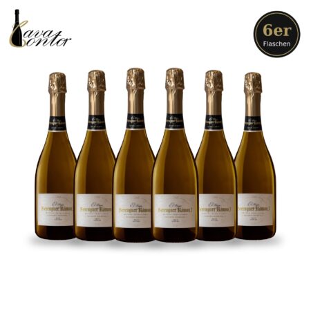 Berenguer Ramon Cava Brut Nature Reserva Especial – 6 Flaschen Genusspaket