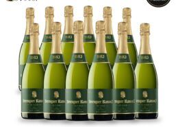 Berenguer Ramon Cava Brut Nature – 12 Flaschen Vorratspack